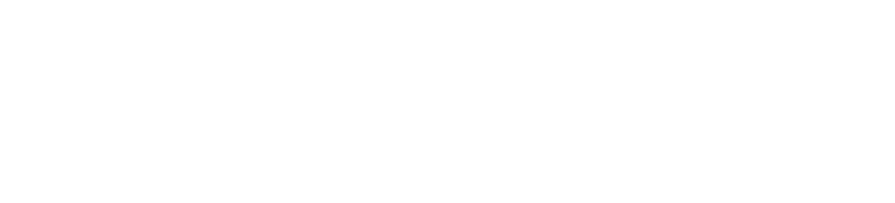 wordmark_white